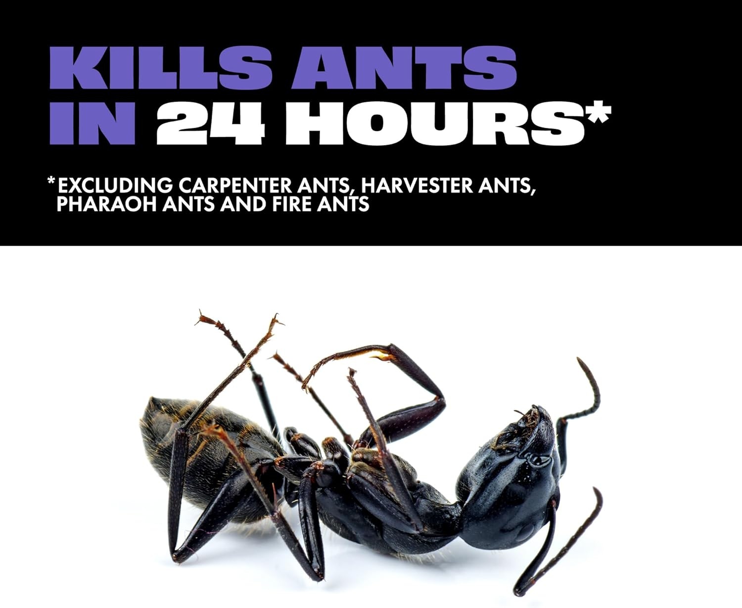 image:imageSTEM Liquid Ant Baits Kills The Queen and Colony for Indoor Use 8 Spill Proof Bait Stations12 Count